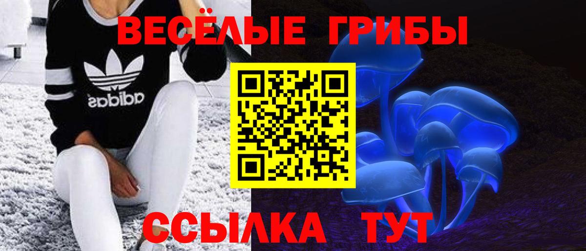 продажа наркотиков  Псилоцибиновые грибы MAGIC MUSHROOMS  Вход с VPN  Новокубанск 