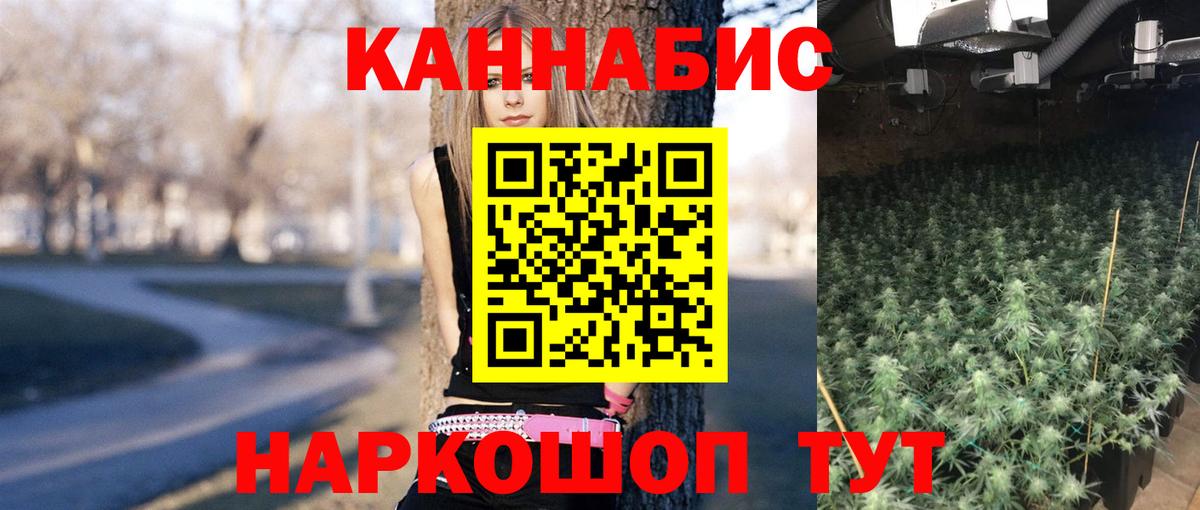 Каннабис AK-47 Новокубанск
